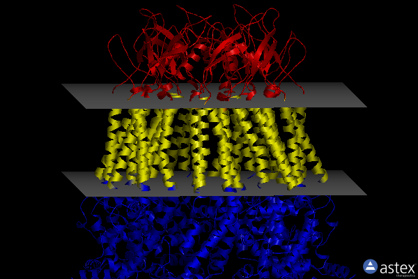 Membrane view of 8gyq