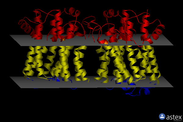 Membrane view of 8gyx