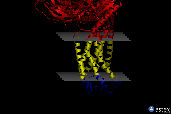 Membrane view of 8h2g