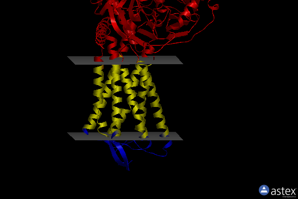 Membrane view of 8h4k