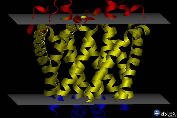 Membrane view of 8h5e