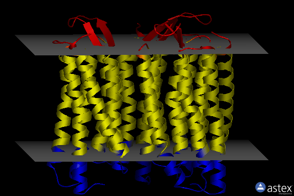 Membrane view of 8h79