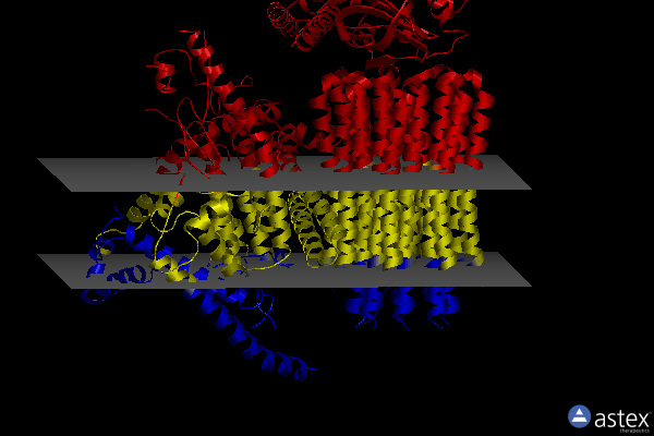 Membrane view of 8h9m