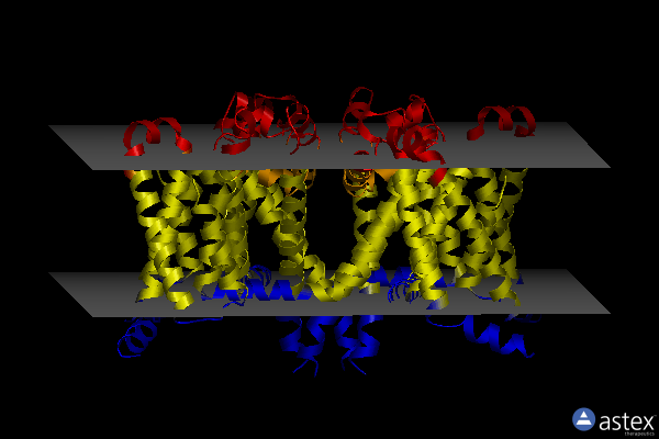 Membrane view of 8h9x