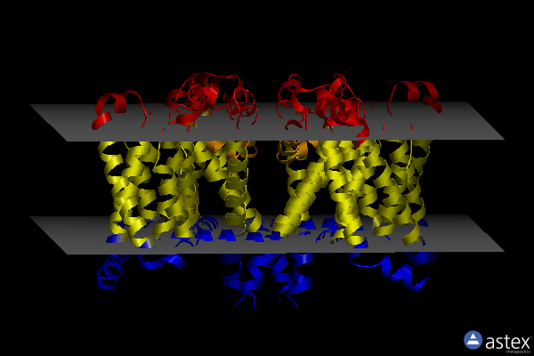 Membrane view of 8ha1