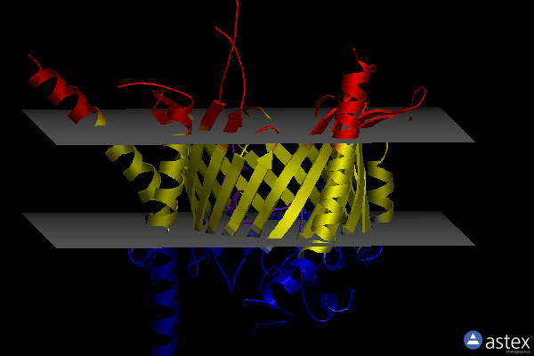 Membrane view of 8hco