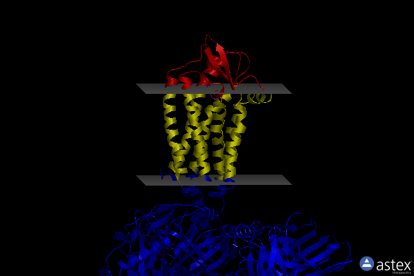 Membrane view of 8hcx