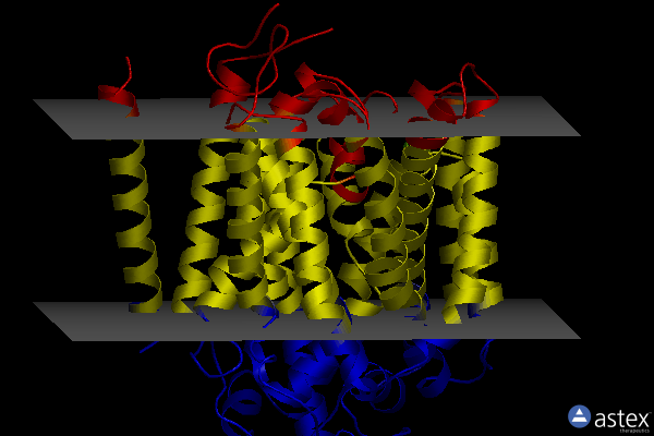 Membrane view of 8hez