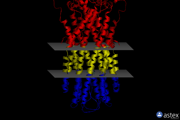 Membrane view of 8hf7