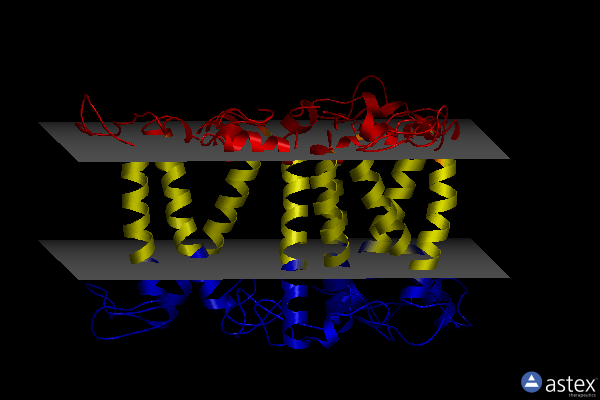 Membrane view of 8hg3