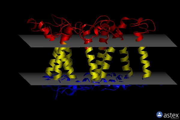 Membrane view of 8hg6