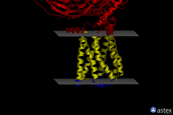 Membrane view of 8hix