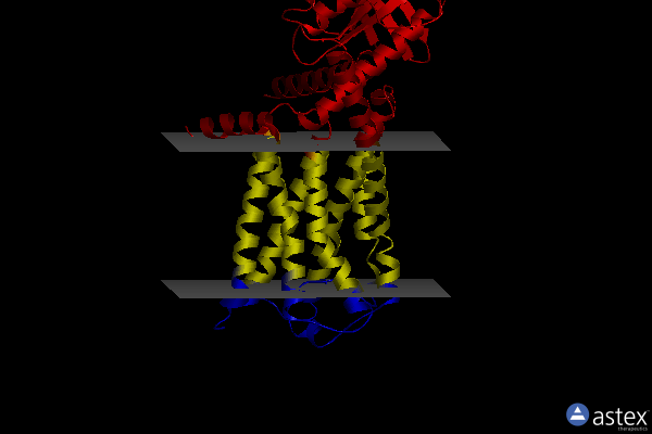 Membrane view of 8hj2