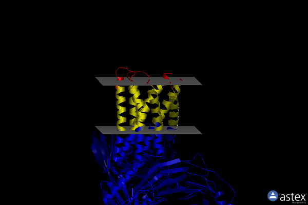 Membrane view of 8hj5