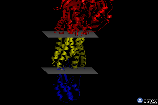Membrane view of 8hk5