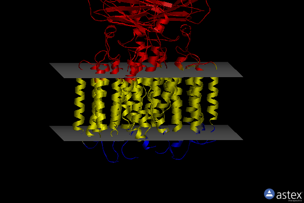 Membrane view of 8hke