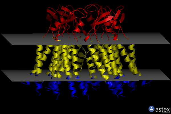 Membrane view of 8hkp