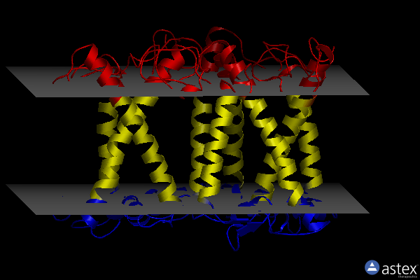 Membrane view of 8hlv