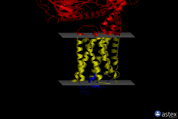 Membrane view of 8hmp