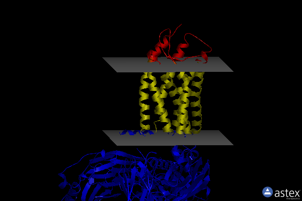 Membrane view of 8hnl