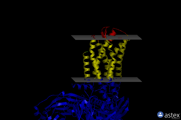 Membrane view of 8hnm