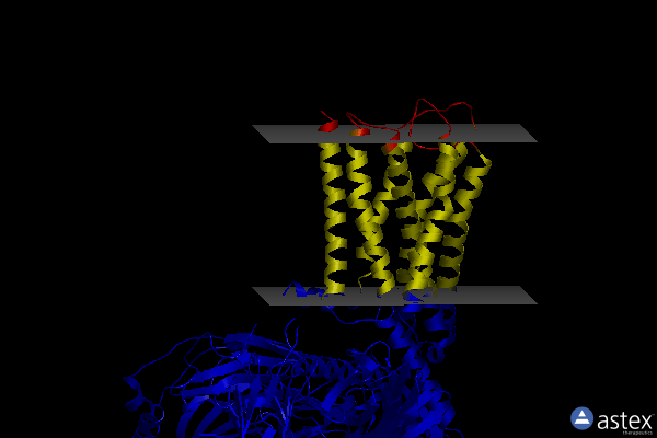 Membrane view of 8hoc