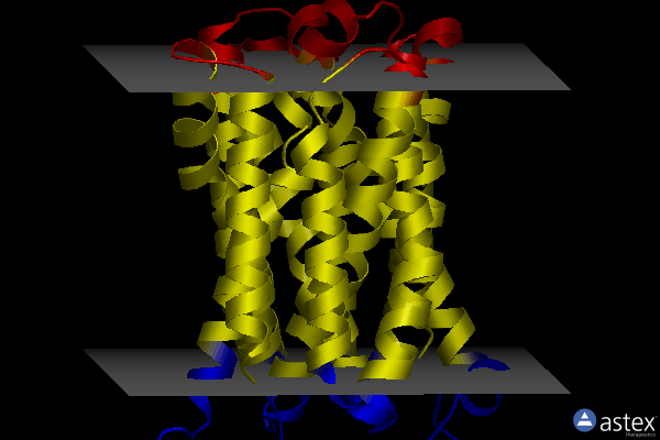 Membrane view of 8hpk