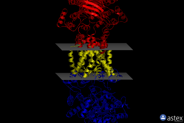 Membrane view of 8hpl