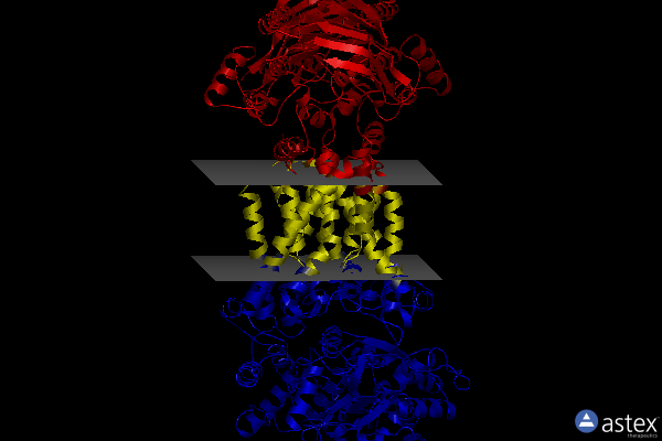 Membrane view of 8hpn