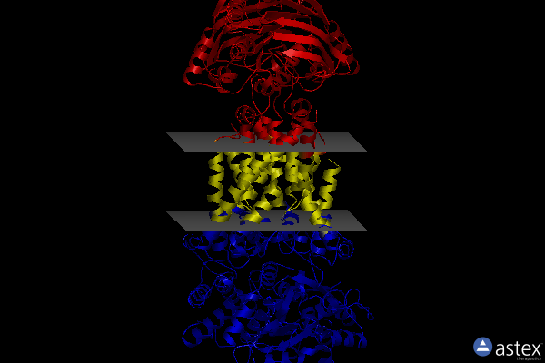 Membrane view of 8hpr
