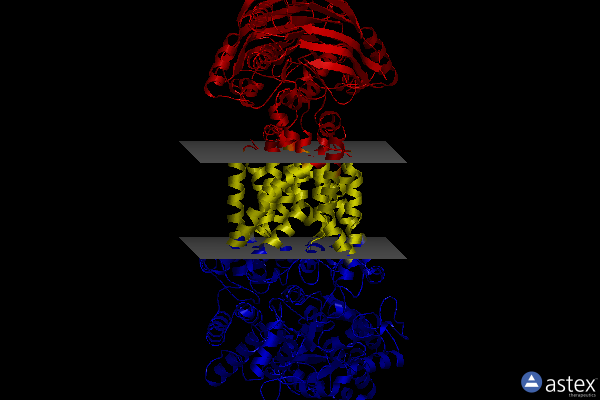 Membrane view of 8hps