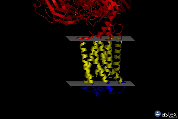 Membrane view of 8hs3