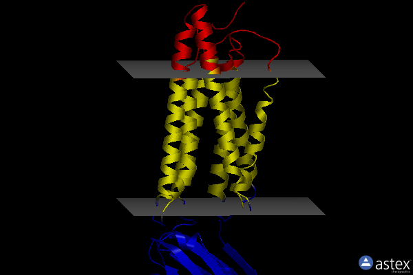 Membrane view of 8htt