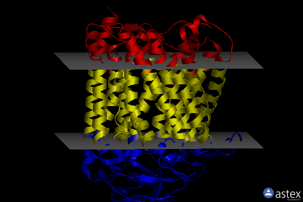 Membrane view of 8hua