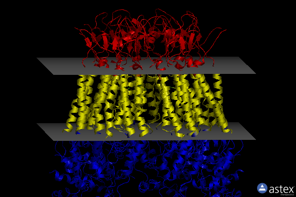 Membrane view of 8hwq
