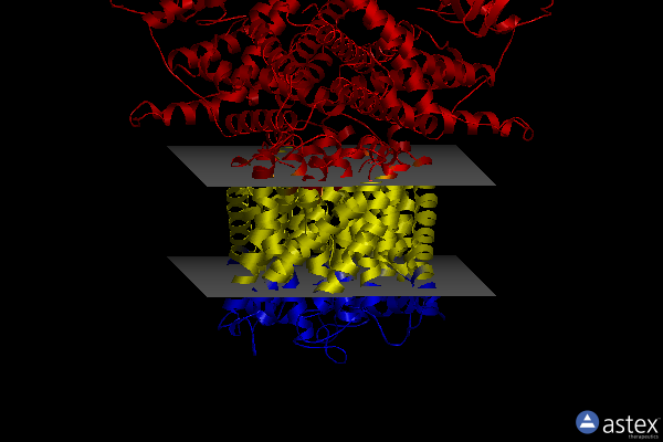 Membrane view of 8hya