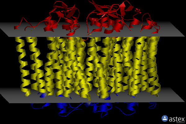 Membrane view of 8i2z