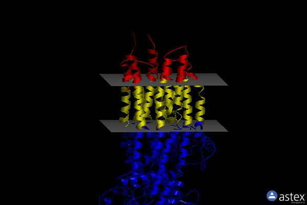 Membrane view of 8i4c