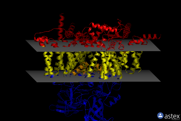 Membrane view of 8i5x