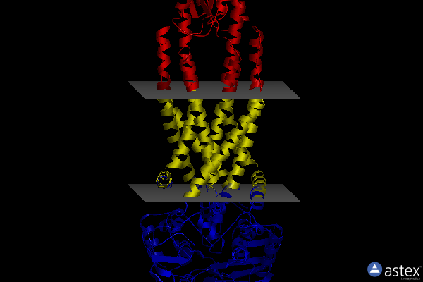 Membrane view of 8i6r