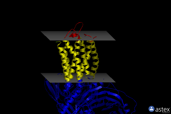 Membrane view of 8i97