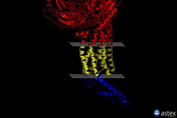 Membrane view of 8i9l