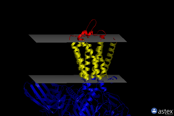 Membrane view of 8ia7
