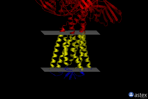 Membrane view of 8id4