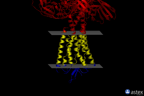 Membrane view of 8id6
