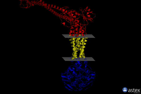 Membrane view of 8idc
