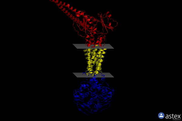 Membrane view of 8idd