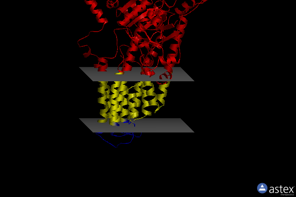 Membrane view of 8ien