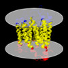 Membrane view of 8ifu