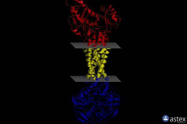 Membrane view of 8igq